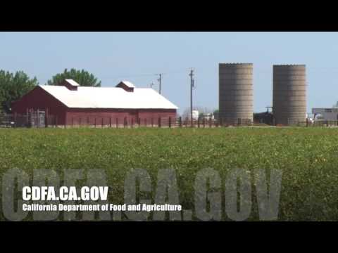Central California San Joaquin Valley Agriculture