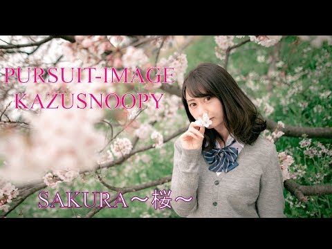 SAKURA～制服～