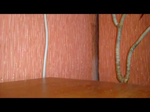 Собираем AWP Азимов из кс:го лего