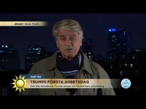 "Ingen kan kontrollera Donald Trump" - Nyhetsmorgon (TV4)
