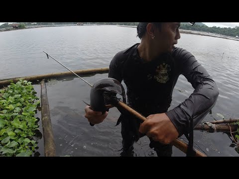 SE02EP110 Part 2 - MALAKING HITO sa KASULUK SULUKAN LUNGGA ng SAMPALOC Lake | San Pablo City, Laguna