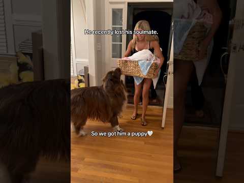 Surprised him with a puppy! Meet Mabel🤍 named in honor of his Grandma's middle name ❤️