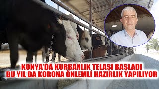 KONYA’DA KURBANLIK TELAŞI BAŞLADI! ÜSTÜN KARDEŞLER KURBANCILIK YİNE EN