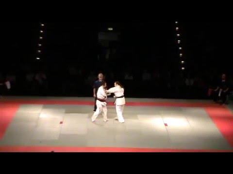 EC Open ShinKyokusin Kielce 2012 - Dan Anca Round 1