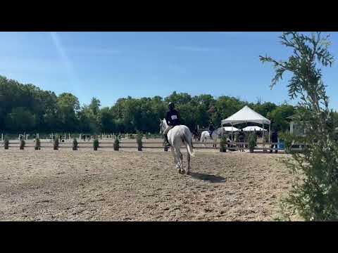 Kartouche du Houmier video 3