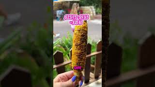 A full day of eating at disney’s animal Kingdom for under $50 - breakfast, lunch, dinner, snacks,
