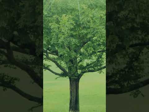 3min. Mindfulness : Meditation