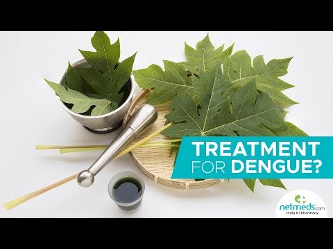 Dengue Treatment: How To ..