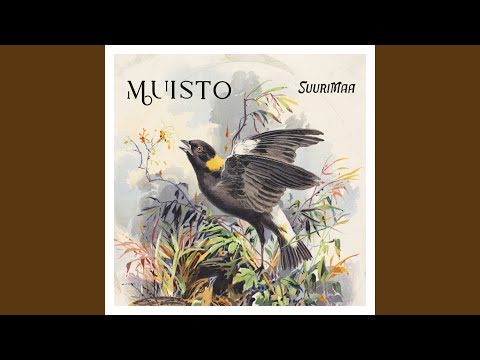 Muisto