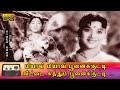 மியாவ் மியாவ் பூனைக்குட்டி பாடல் HD எஸ