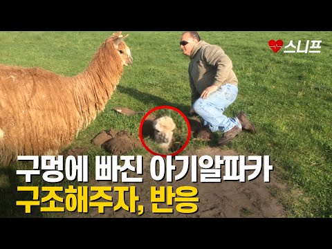 아이콘