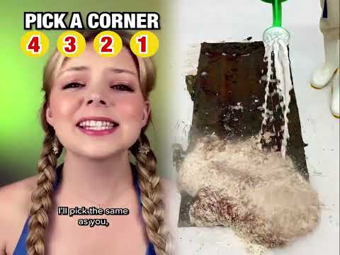 🤣👌👌👌2025 pov Must-Watch Crazy Clips Compilation #humor #fypシ #pov #fyp #foryou 😍😜