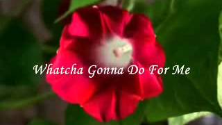 Whatcha Gonna Do For Me -  Ned Doheny