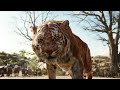 Jungle Book In Telugu Part 4