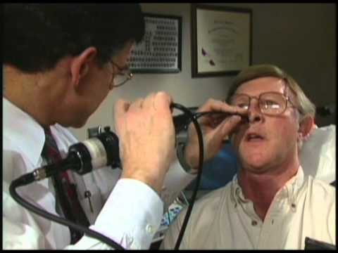 Cause of Spasmodic Dysphonia