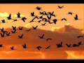 Maria Kruprovjev - Lied von den Zugvögeln 