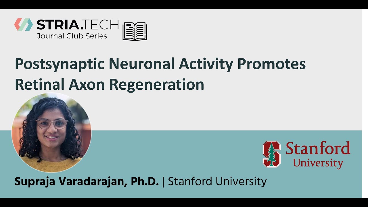 Journal Club | Postsynaptic Neuronal Activity Promotes Retinal Axon Regeneration