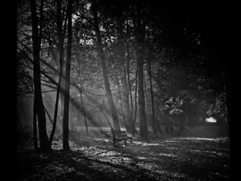 Videoclip de Left In The Dark — Meat Loaf