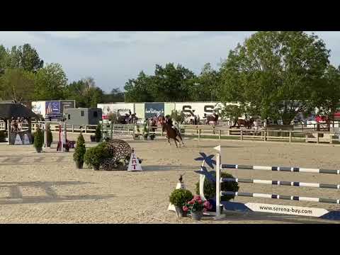 For Passion d'IVE : For Pleasure x Quidam de Revel x Landgraf - Lier2