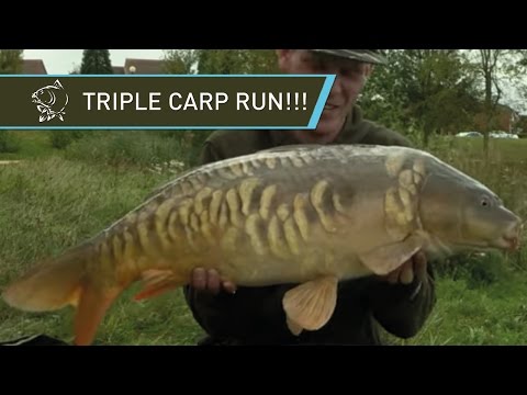 TRIPLE CARP RUN!!! Urban carp fishing for charity - Alan Blair in Milton Keynes