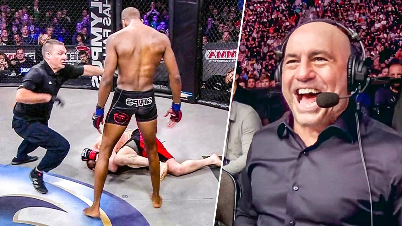 That Was Fun! Best Stylish Knockouts You Did Not See