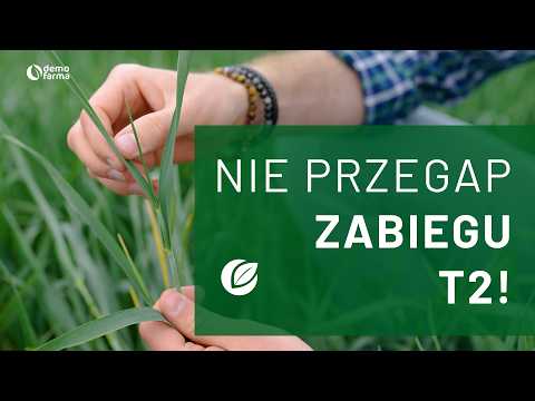Film na temat: { video.title }}