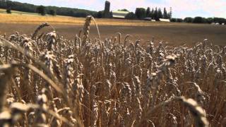 Country Harvest: Proud Canadian Farmers - Mark and Christine Lass (Ontario)