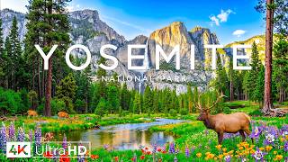 Yosemite National Park 4K – Granite Cliffs, Waterfalls, Giant Sequoias and Scenic Valley Landscapes