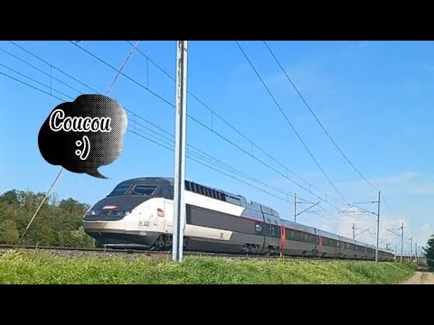 Compilation de klaxons de trains à Dettwiller (juillet-Août) (avec un peu d'humour 😄) #1