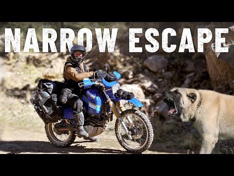 Agressive dogs chased me onto a ridge in Türkiye 🇹🇷 | S8, EP10