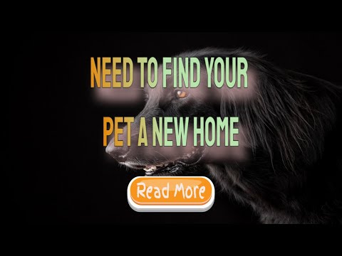 need to find your pet a new home