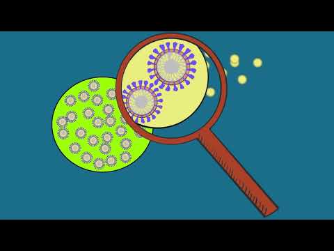 Aerosols vs. Droplets: In Transmitting COVID-19, There’s a Big Difference