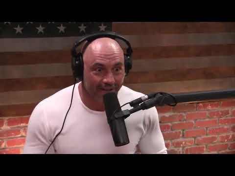 Joe Rogan on Striking vs BJJ In Street Fights