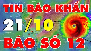 Download the video "🔴[Trực Tiếp] TIN BÃO MỚI NHẤT: Bão số 12 và không khí lạnh gây đợt mưa đến 900 mm"