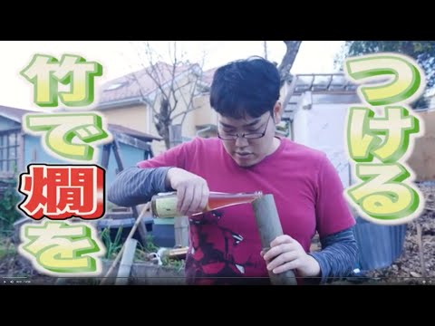 bambou-pot-plantes-vertes-bonsai-jardin-japonais