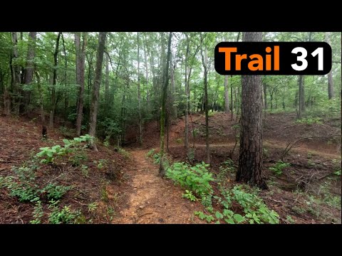 Steep Ravine Trail Video Thumbnail