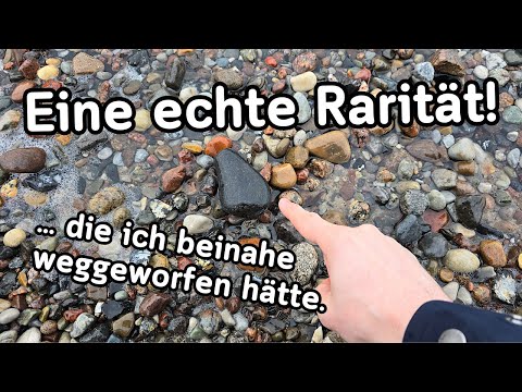 Dieser Stein ist total besonders! Fossilien suchen an der Ostsee
