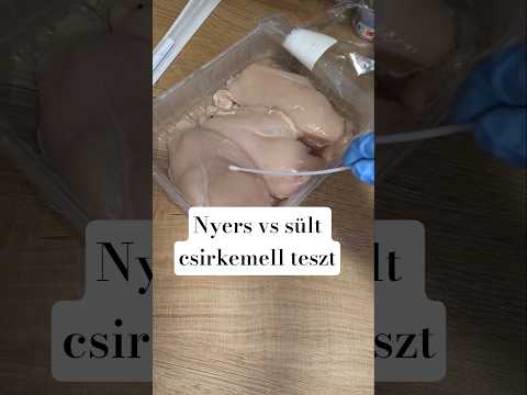 Mennyi baktérium van a csirkemellen? #teszt #agarlemez #baktérium #csirkemell