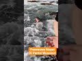Beach Shorts Jenazah Victim Ditemukan Mayat Terapung Di Pantai Ngrawe Gunung Kidul
