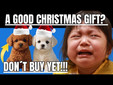 Wuffy Reviews - Wuffy Review - Wuffy Robot Puffy Really Work?