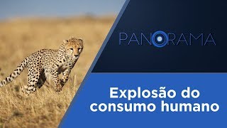 Miniatura do vídeo