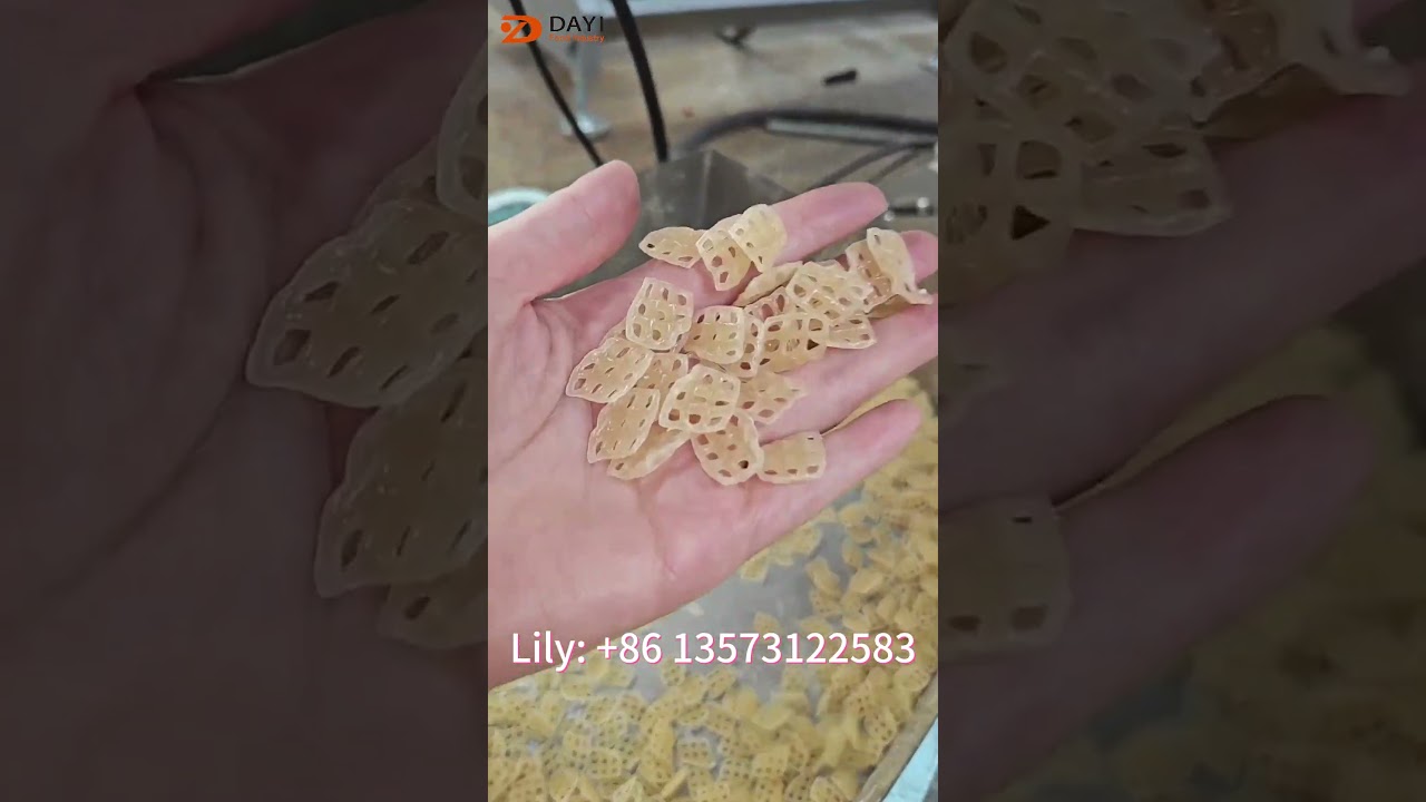 Lab extruder is doing a trial run for fryums pellets#fryumspelletsmakingmachine#slantyproductionline