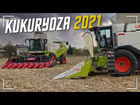 , title : 'Jak Dzik w Kukurydze! ☆ Farmsaat 2021! ☆ Ostra Jazda Na Dwa Classy! ☆ JakPol! ☆ AgroRewicaTeam ☆'