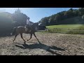 KENTADOR TD - PRE - 5 ans