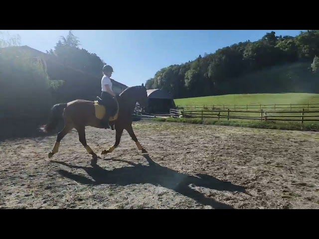 KENTADOR TD - PRE - 5 ans