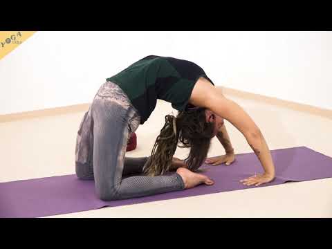 Volles Kamel - Yoga Asana Lexikon
