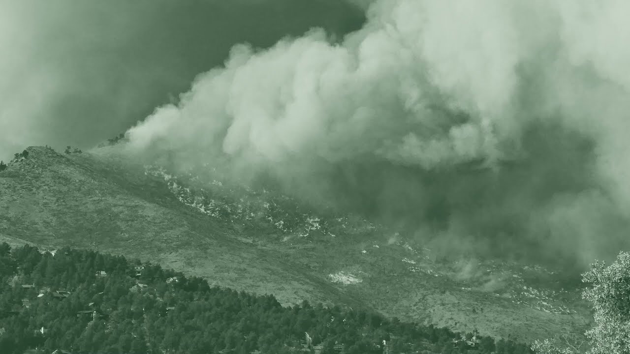 Introduction to Local Forests Global