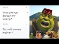 What Are You Doing In My Swamp In Different Languages Meme Part 4