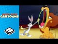 Tame A Lion Looney Tunes Boomerang UK