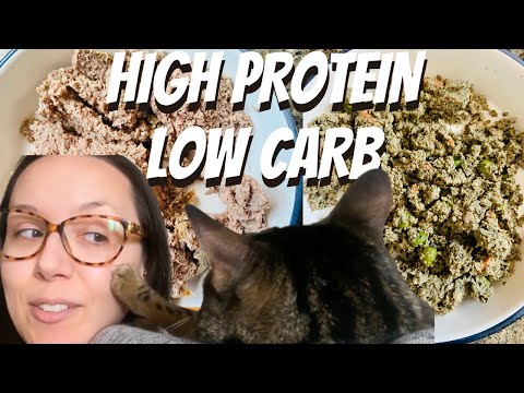 Jess Caticles reviews high protein low carb wet cat food